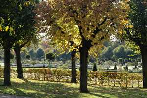 Schöne möblierte 3-Zimmer-Wohnung am Schlosspark Charlottenburg – Brahestr. 22, 10589 Berlin – Vorschaubild 21