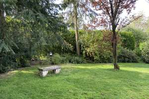 Charmante 30er Jahre Villa mit parkähnlichem Garten in Bad Driburg – Die vollständige Adresse der Immobilie erhältst du vom Anbieter., 33014 Bad Driburg – Vorschaubild 12