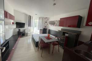 Zu vermieten Möbliertes 1-Zimmer-Apartment mit Balkon, Stellplatz & Aufzug in Mainz-Laubenheim – 55130 Laubenheim, Mainz – Vorschaubild 8