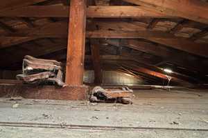 Seltene Gelegenheit! Kompakter Bungalow mit tollem Grundstück. – Mainz-Bingen (Kreis) – Vorschaubild 26