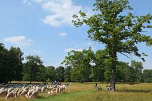 Property thumbnail 34