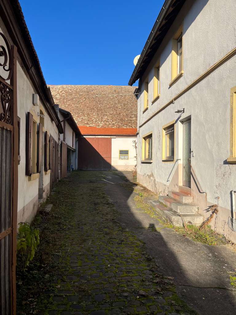 Immobilie in Dittelsheim-Heßloch - Ehemaliges Weingut mit großem Grundstück - vielseitig nutzbar - Bild 2