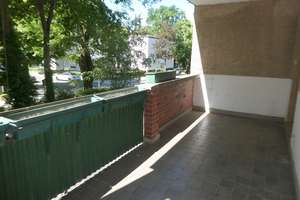Lindenallee – Wohnen im Grünen - familienfreundliche Stadtvilla – großer Balkon – Die vollständige Adresse der Immobilie erhältst du vom Anbieter., 14050 Westend, Berlin – Vorschaubild 14