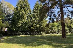 Property thumbnail 24