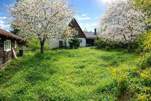Großzügiges Grundstück mit Altbestand und idyllischem Garten in grüner Lage von München