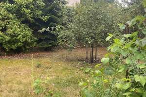 Freistehendes Haus mit ca. 200 m² und großem Garten – ideal für Kita oder Kinderprojekte – 12305 Lichtenrade, Berlin – Vorschaubild 14