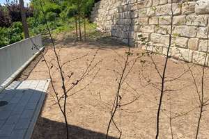 Preisgünstige Alternative zum Reihenhaus!  3 Zimmer-ETW mit großer Terrasse. – Entenweg 20, 70437 Zazenhausen, Stuttgart – Vorschaubild 13