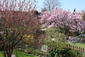 ### EIGENTUMSWOHNUNG ALS REIHENHAUS MIT CA. 165 QM WOHNFLÄCHE UND MEGAGARTEN IN TOP - LAGE! ### – Darmstadt – Vorschaubild 20