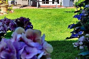 Sehr gepflegtes 1-2 Familienhaus mit herrlichem Garten in  kinderfreundlicher Wohnlage ! – Grafenstraße 23, 42277 Oberbarmen, Wuppertal – Vorschaubild 56