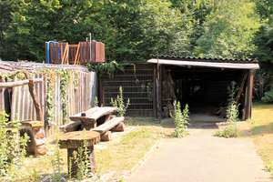 Wohnhaus in Mannheim-Gartenstadt- Verkauf gegen Höchstgebot – 68305 Waldhof, Mannheim – Vorschaubild 4