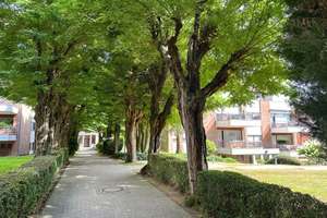 Wohnen in der ***PARKRESIDENZ GUT LUDENBERG*** – Die vollständige Adresse der Immobilie erhältst du vom Anbieter., 40629 Ludenberg, Düsseldorf – Vorschaubild 14