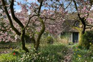 Reetdachhaus mit verwunschenem parkähnlichem Garten – Segeberg (Kreis) – Vorschaubild 9