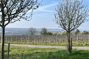 Wohnen mit Ausblick: Dachgeschosswohnung in Wiesbaden (Freudenberg) – Narzissenweg 10, 65201 Dotzheim, Wiesbaden – Vorschaubild 24