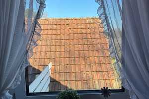 Einzigartiges Anwesen mit Charme, weitläufigem Garten und idyllischem Flair – Gütersloh (Kreis) – Vorschaubild 60