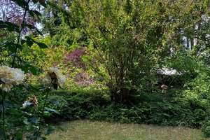 Helle 2 Zimmerwohnung im EG mit Gartenoase, Balkon und Stellplatz – Ludwigstr.  19, 40229 Eller, Düsseldorf – Vorschaubild 16