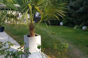 Wohlfühloase zum Leben und Arbeiten mit schönem Garten und moderner Ausstattung in Buchschlag – Die vollständige Adresse der Immobilie erhältst du vom Anbieter., 63303 Dreieich – Vorschaubild 17