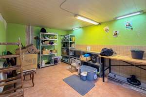 Idyllisches Einfamilienhaus: Ihr ruhiger Rückzugsort mit schönem Grundstück und viel Potenzial! – Die vollständige Adresse der Immobilie erhältst du vom Anbieter., 96349 Steinwiesen – Vorschaubild 18