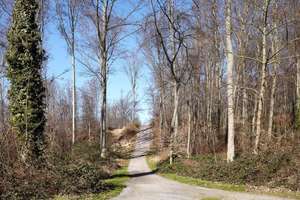 Property thumbnail 39