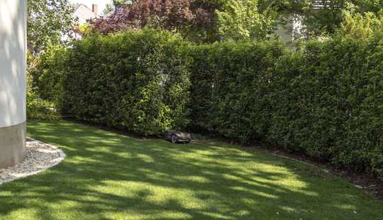 Bild von Exklusives Townhouse in Bestlage in Frankfurt-Diplomatenviertel 