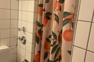 Ruhiges Studentenappartement Nähe Uni Mannheim – B 7 17, 68159 Innenstadt/Jungbusch, Mannheim – Vorschaubild 4