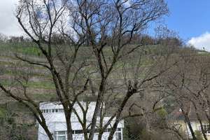 Stilvolle Villa am Fuß des Turmberg in Karlsruhe-Durlach – Dürrbachstraße 36, 76227 Durlach, Karlsruhe – Vorschaubild 15
