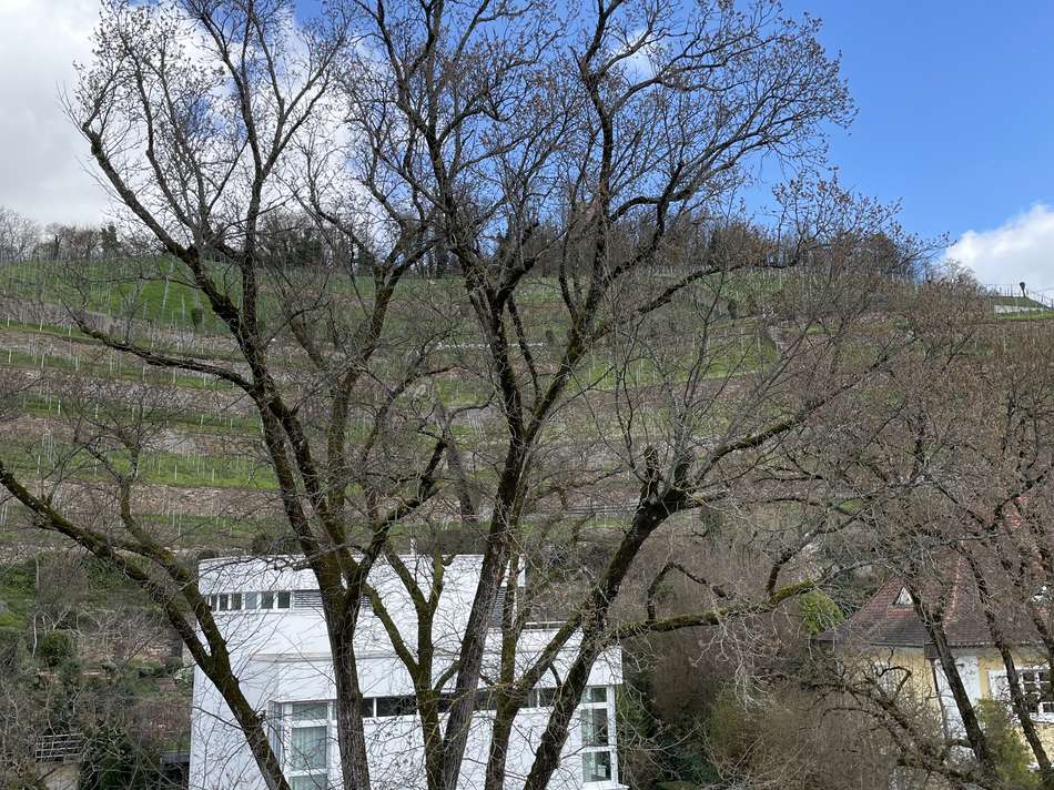 Blick aus dem Dachfenster