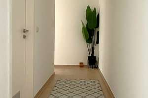 Property thumbnail 13