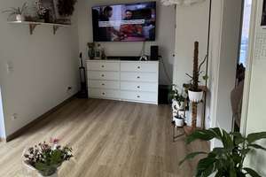 ökologische und behindertengerechte 2-Raum-Wohnung, unweit Uni und Klinikum, Neubau 2025 – Zittauer Straße 13a, 99091 Gispersleben, Erfurt – Vorschaubild 11