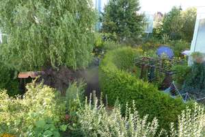 Wohlfühlwohnung mit Wintergarten und Einbauküche in beliebter Wohnanlage – Parksiedlung Spruch 3 bis 137, 12349 Buckow, Berlin – Vorschaubild 9