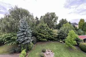 Ringeltaube sucht passende Mieter!!!!