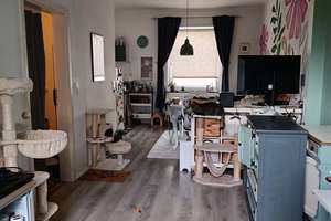 Maisonette-Wohnung mit offener Küche und Balkon – Wangerooger Straße 25, 28219 Walle (Ortsteil), Bremen – Vorschaubild 5