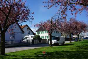 *München Feldmoching* Charmantes, top gepflegtes Einfamilienhaus mit Wohlfühlgarten – München – Vorschaubild 33