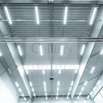 Lager,- Produktionsflächen mit Büro | Rampen | ebenerdig | 6,50 m UKB