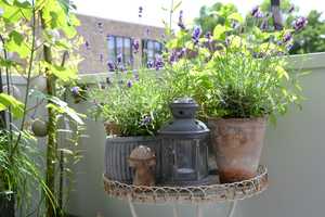 Property thumbnail 20