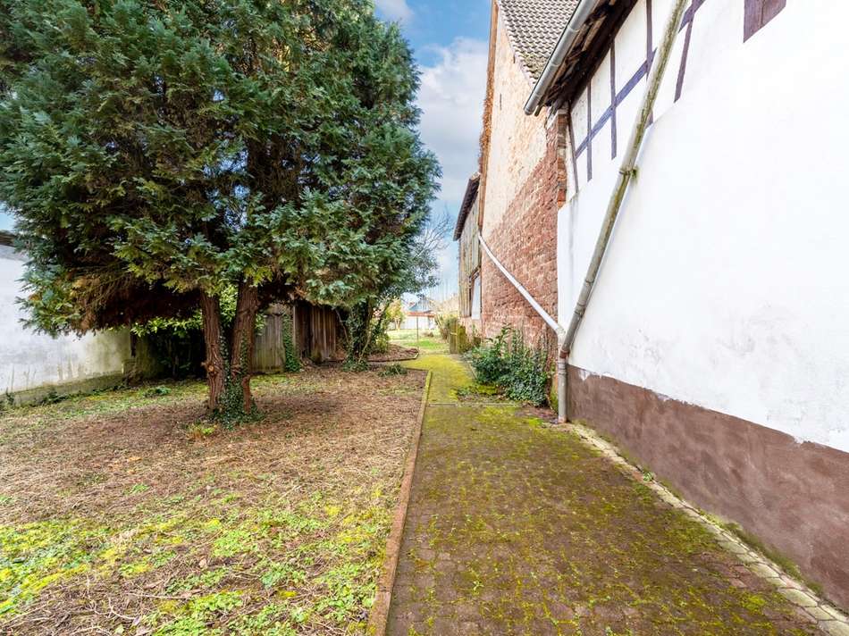 Garten 1