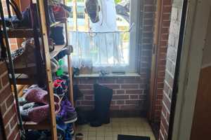 Von Privat! Vermietetes schönes 5-Zimmer-Einfamilienhaus in Lensahn – Ostholstein (Kreis) – Vorschaubild 8