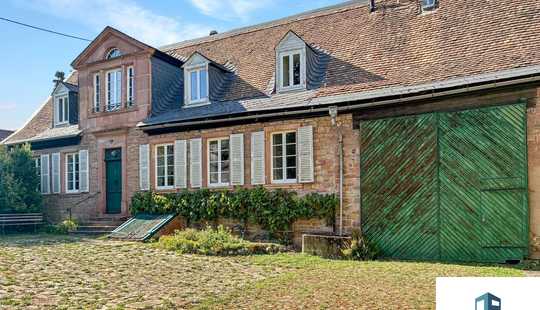 Bild von Historisches Weingut mit zwei Häusern – mit Weinkeller, Hof, Scheune & Garten