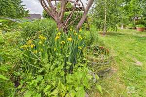 REIMANN&WOLFF Wassenberg-Myhl: "Wo Wohnen aufblüht – Zuhause mit schönem Garten" – Heinsberg (Kreis) – Vorschaubild 12