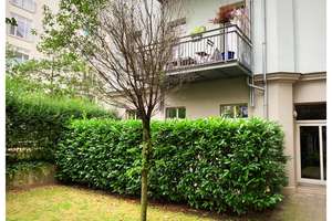 Property thumbnail 12