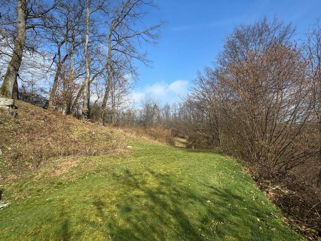 Immobilie in Heppenheim - Großzügiges Zweifamilienhaus mit ELW (15 Zimmer) in schönster Naturumgebung - Bild 2