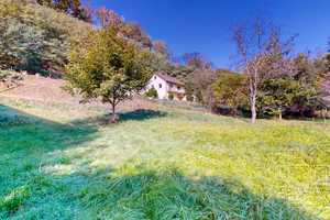 Naturliebhaber: Haus mit großem Grundstück in idyllischer Semi-Alleinlage direkt am Bach – Falkenmühle 14, 76891 Südwestpfalz (Kreis) – Vorschaubild 19