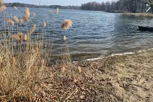Sommerhaus am See - 60 Minuten von Berlin – Teltow-Fläming (Kreis) – Vorschaubild 10