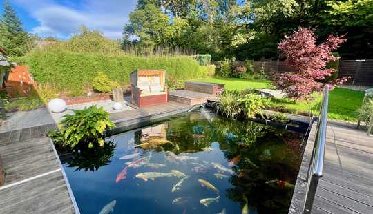 Bild von Schlangenbad-Hausen v.d.H.: Ein Einfamilienhaus der Extraklasse in Waldrandlage!