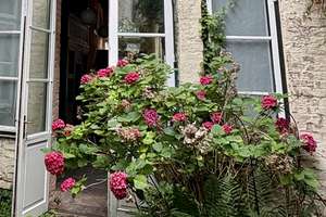 Stilvoll wohnen in einem der baugeschichtlich wertvollsten  Kaufmannshäuser  der Lübecker Altstadt – Königstraße 30, 23552 Innenstadt, Lübeck – Vorschaubild 30