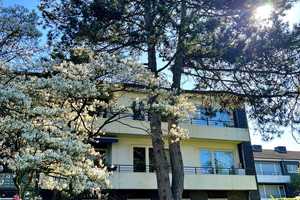 Property thumbnail 20