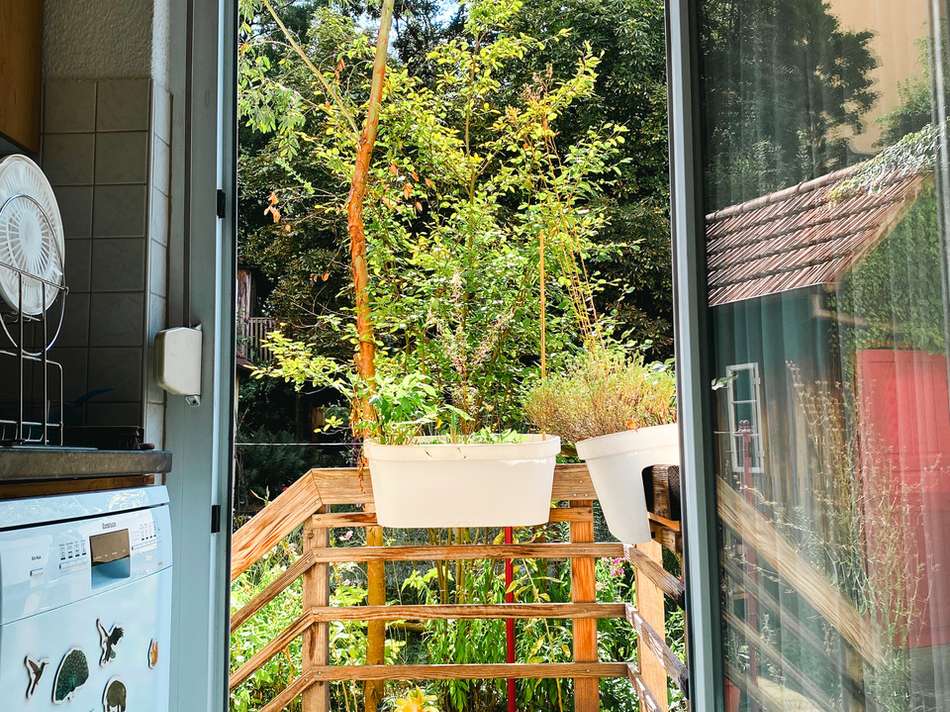 Blick in den Garten