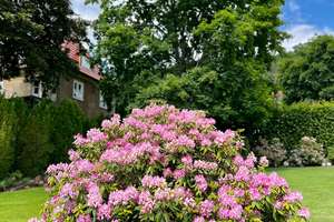 Property thumbnail 13