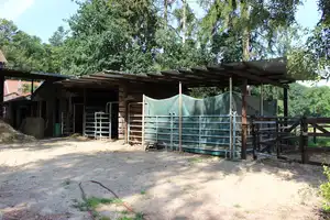 Ein Domizil in ruhiger Lage mit 3 Wohneinheiten, Pferdestall, Werkstatt und Padock – Segeberg (Kreis) – Vorschaubild 13