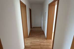 Nachmieter*in für eine tolle 3-Zimmer-Wohnung mit Balkon in Frohnhausen ab dem 01.08.26 gewünscht – Breslauer Str. 69, 45145 Frohnhausen, Essen – Vorschaubild 6