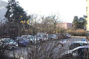 Property thumbnail 8